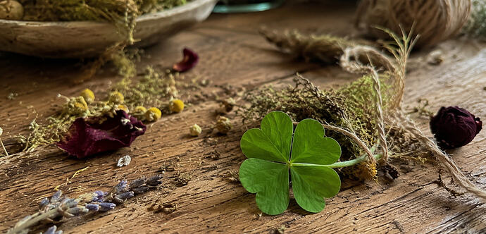 four leaf clover properties