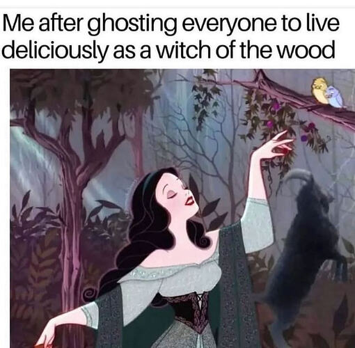 witch meme