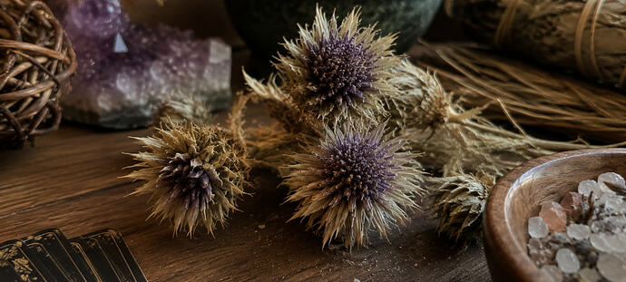 Blessed Thistle wiccan altar