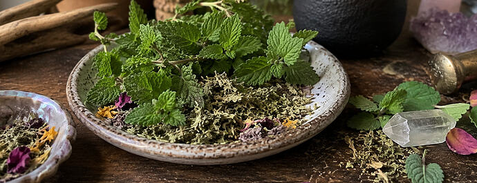 Lemon Balm magick properties