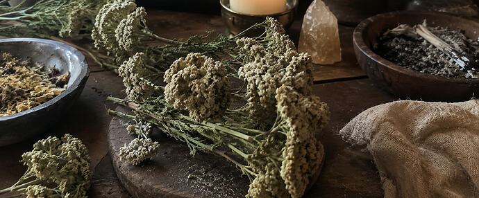 Yarrow magickal properties