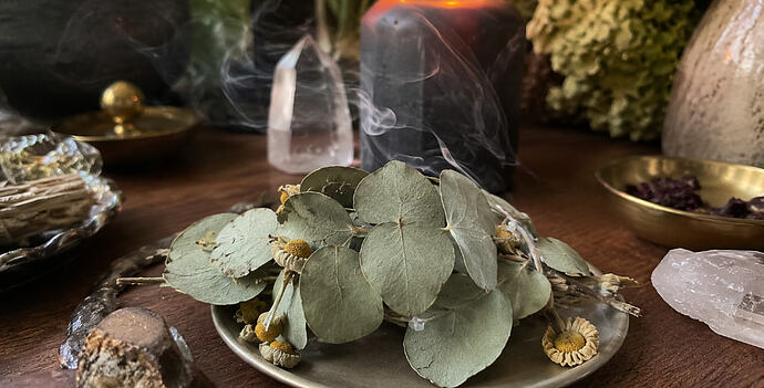 Eucalyptus magick properties